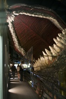 313-9636 House on the Rock - Blue Whale